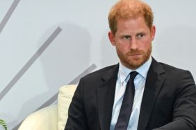 Prince Harry's Kids Unaware of His Job — Source