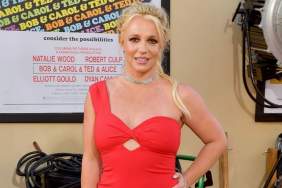 Britney Spears’ Family ‘Terrified’ To Support Her Amid Drama — Source