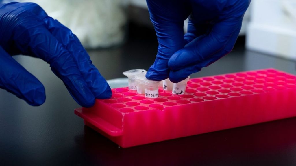 Scientists Explore Possibility of Alien DNA in Humans, Tied to Abduction Reports