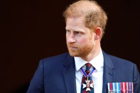 Prince Harry Could Be Next After Prince Andrew Title Shocker — Source