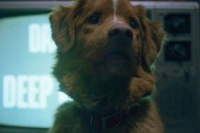 Good Boy Director Confirms the Dog’s Fate in Horror Movie