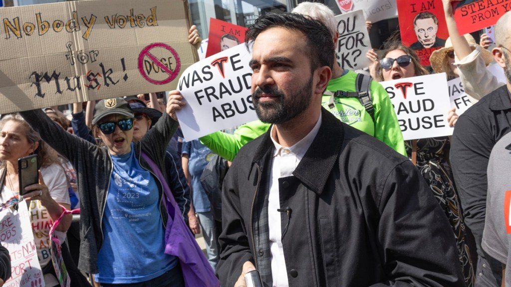 Elon Musk Praise Zohran Mamdani Mayoral Race New York City