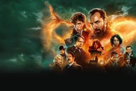 Netflix's Age of Innocence Expands Cast With Fantastic Beasts Actress & More