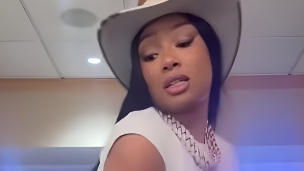 megan thee stallion dance crop top