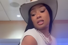 megan thee stallion dance crop top