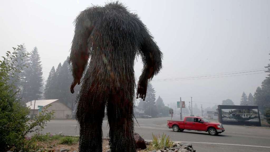 'Sincere' Bigfoot Sighting Reported by Investigator in Pennsylvania