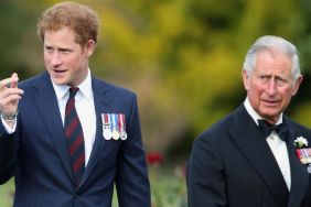 Prince Harry Allegedly Swore at King Charles During Financial Dispute