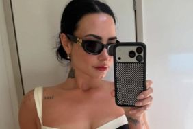 Demi Lovato Lying Down in Bikini Will Make You Look Twice