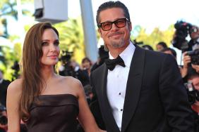 Brad Pitt Is 'Done Being Nice Guy' Amid Angelina Jolie Battle — Source