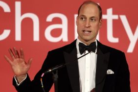 Prince William on a Mission to 'Save' Monarchy — Source