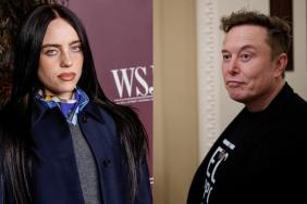 Billie Eilish elon musk