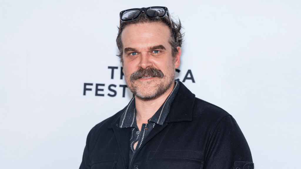 David Harbour Talks About ‘Slip-Ups’ in Life Amid Lily Allen Split