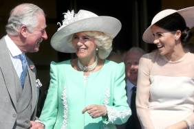 King Charles meghan markle (2)