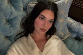 Kendall Jenner's Mirror Selfie in Just Towel Is Impossible to Ignore