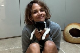 Halle Berry Looks 'Purrfect' While Holding Cats in Mini Shorts