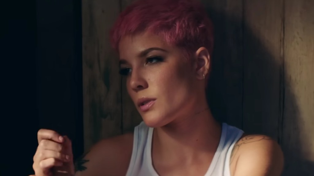 Halsey Groped on Stage by Fan in D.C, Internet Upset