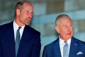 Prince Williams and King Charles