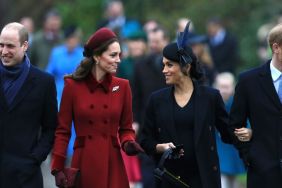 Prince Harry and Meghan Markle