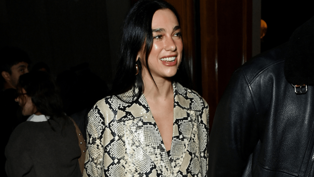 Photos: Dua Lipa's Snake-Print Boots Should Be Bookmarked