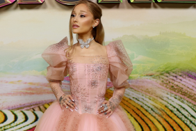 Photos: Ariana Grande's Butterfly Gown Look Is 'Perfection'