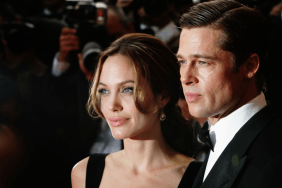 Brad Pitt’s Next Move Could Be Lethal for His Ex — Source