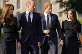 Prince Harry Upset With Brother's Advice About Meghan Markle — Expert