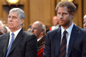 Prince Harry Backs King Charles on Uncle’s Title Removal — Report