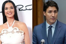 Justin Trudeau Gets Added to Katy Perry's Toy Store Photo