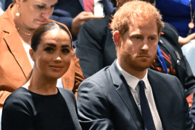 Meghan Markle’s Acting Career Puts Her at Crossroads With Husband — Expert