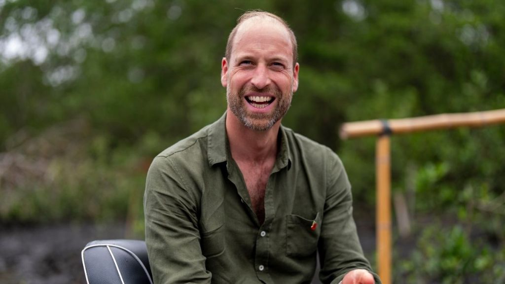 Prince William's Personal Life Confessions Is 'Excellent Strategy' — Expert