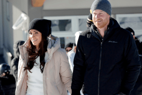 Prince Harry 'Fish Out of Water' in Wife's Holiday Special Video — Expert