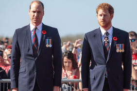 Prince Harry & Brother's Royal Engagement Overlap Not Intentional — Source