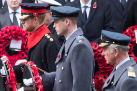 Why Prince Harry’s Remembrance Sunday Request Was ‘Denied’ in Past — Source