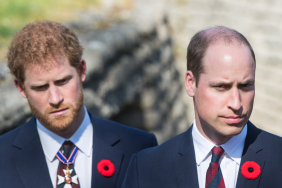 Prince Harry Is Deliberately Fighting Prince William — Source