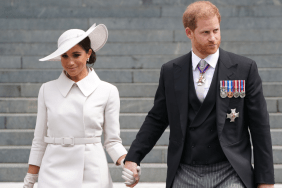 Prince Harry's 'Nostalgic' Essay a Subtle Message To Wife — Expert