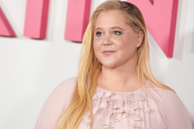 Amy Schumer & Husband Are Merely Handling 'Normal' Issues — Source