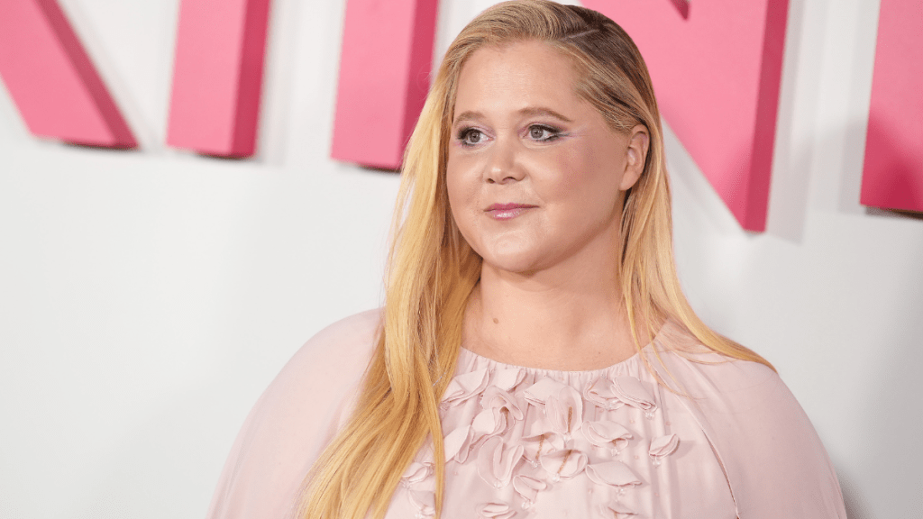 Amy Schumer & Husband Are Merely Handling 'Normal' Issues — Source