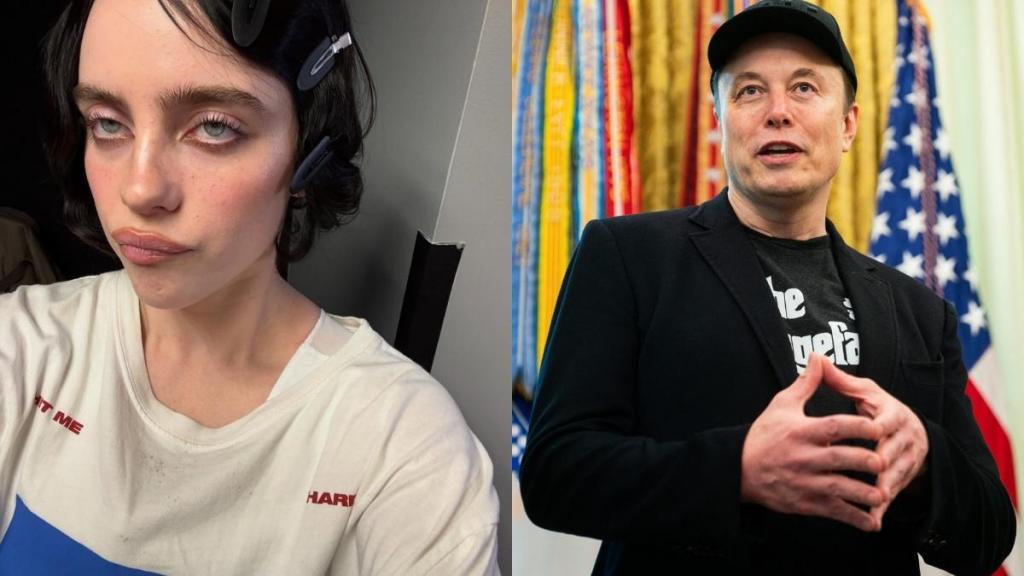 billie eilish elon musk