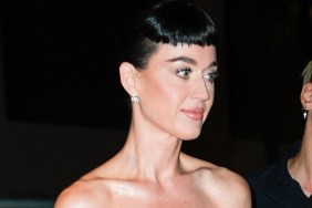 katy perry lawsuit suing veteran