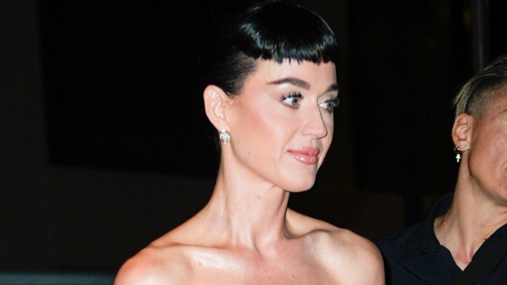 katy perry lawsuit suing veteran