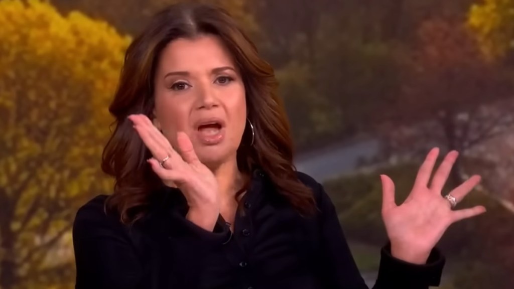 The View Jeffrey Epstein Files Ana Navarro Entitled Men