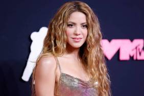 Shakira Makes a Bold Move in Sheer Cutout Dress With Jaw-Dropping Slit