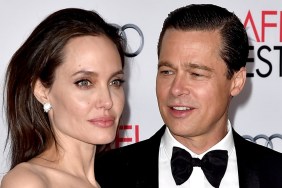 Brad Pitt Scores Legal Win in Ongoing Battle With Angelina Jolie — Report