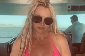 Britney Spears Posing in Pink Bikini Comes With Cheeky Twist