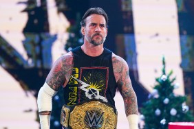 WWE Icon & Actor Doubts CM Punk’s Future in the Ring
