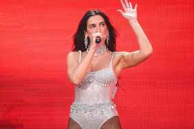 Dua Lipa Posing in Animal-Print Bikini Will Make Your Day