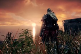 Goldfish Who Beat Elden Ring’s Hardest Bosses Has Died