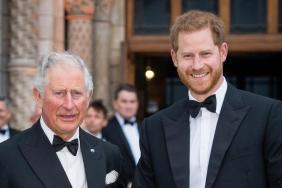 King Charles prince harry