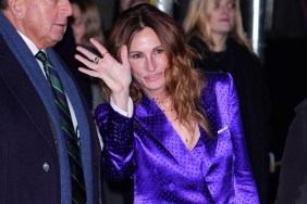 Julia Roberts Glows in Makeup-Free Photo