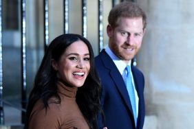 Prince Harry meghan markle (3)